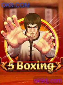 5Boxing